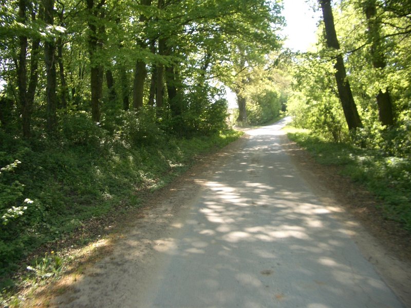 Bungsberg-CTF 560